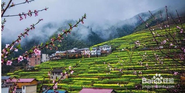 最美仙境，宛如天宫，仙子云集