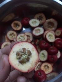 【自制山楂酱】做法一