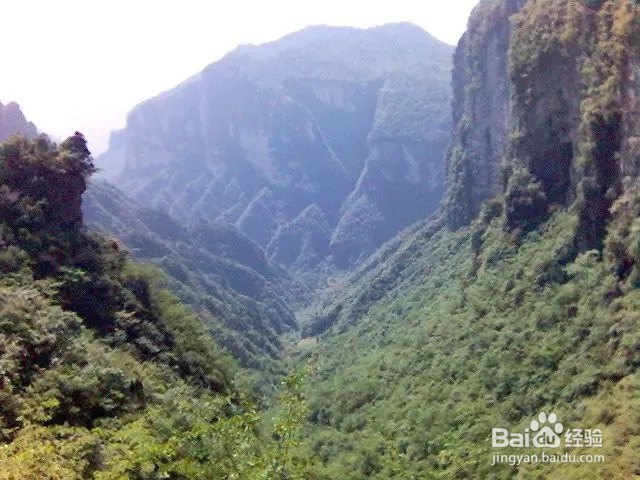 在难熬的日子里来一份心灵鸡汤