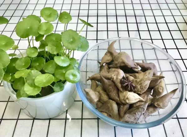 可以当菜也可以当零食