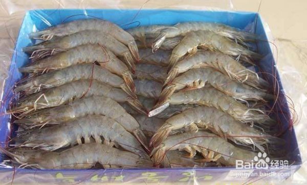 正宗生卤虾的做法大全