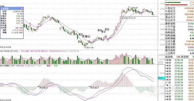 不可不知的专业投资术语