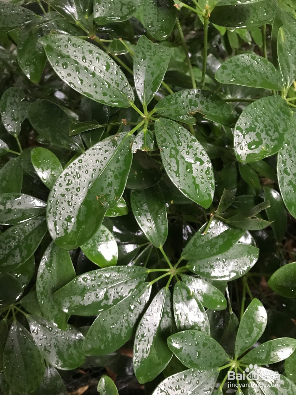 怎么拍摄一张属于自己的屏保