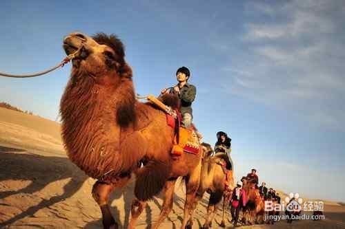 一生最美好的30件事 你做过几样
