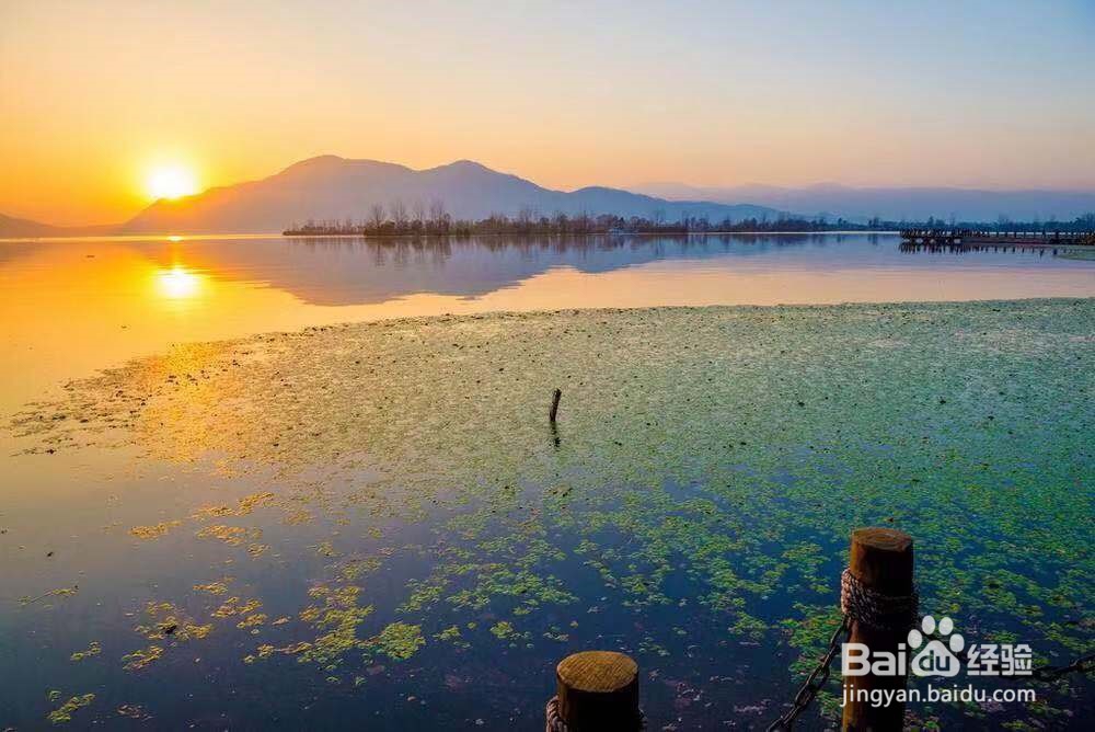 哪里适合夏天避暑的旅游地方