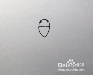 简笔画:怎么画苍蝇