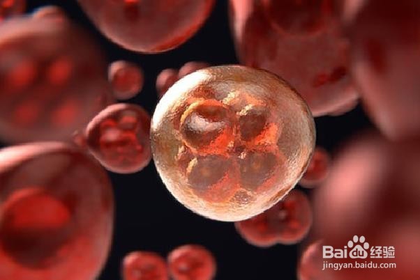 你不应该忽视7个白血病的重要症状