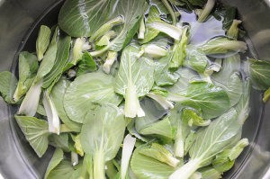 教你制作美味的菌汤