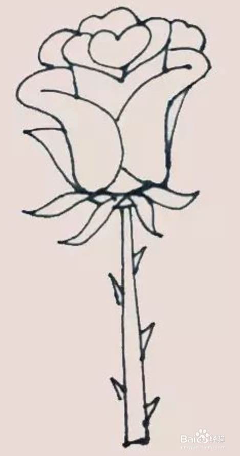 玫瑰花简笔画 百度经验
