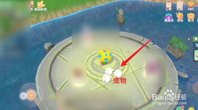 摩尔庄园怎么让宠物跟随你