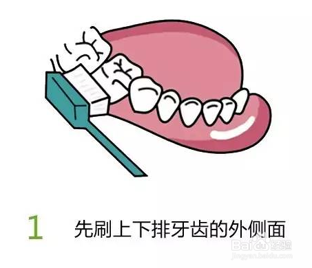 刷牙的方法圖解