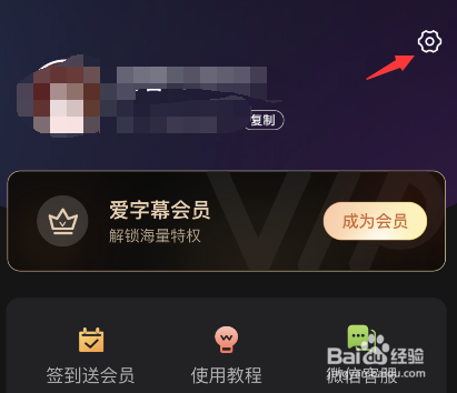 爱字幕怎么关闭水印