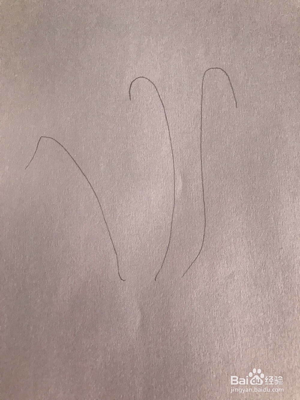 画一棵简易紫罗兰