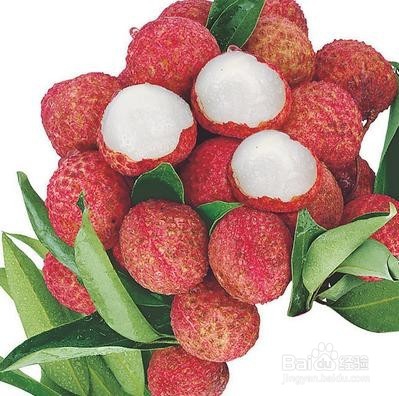 如何挑选荔枝？