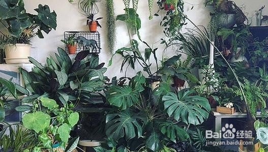 甲醛的危害性，症状表现有哪些