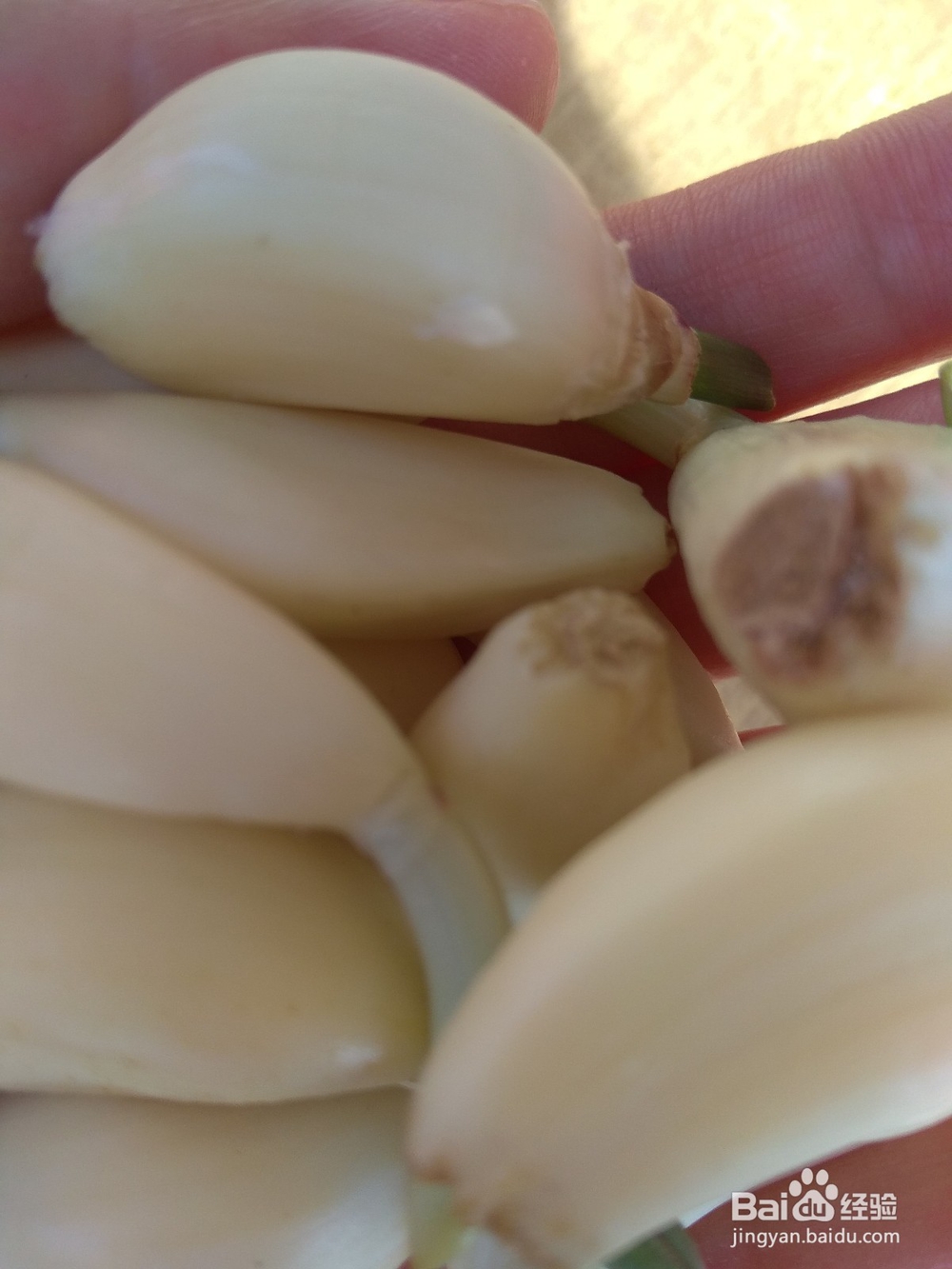 酒泡红辣椒的做法