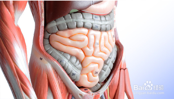 嚼槟榔到底有哪些坏处