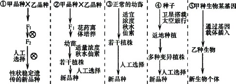 生物育种有哪些？
