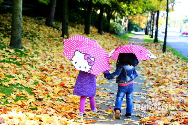 温哥华蓝莓园里的小清新