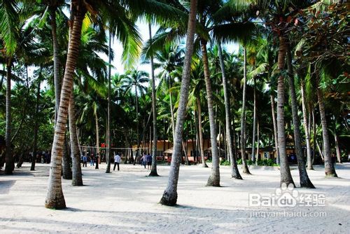 海南椰岛东郊小镇游记