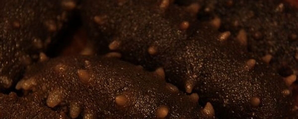 营养美味的海参水饺的制作方法-精编