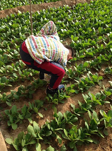 帮助孩子戒掉电子产品