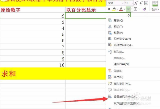 怎么在wps版的表格里设置百分比的数据条