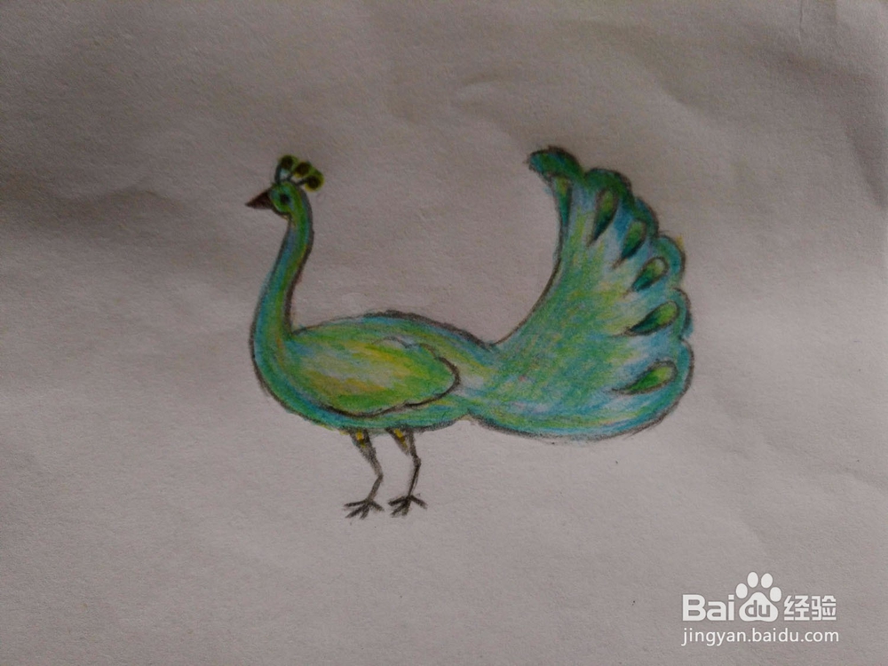 <b>儿童彩铅画漂亮的孔雀的画法</b>