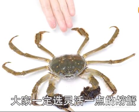 如何挑选大闸蟹才是最新鲜的？