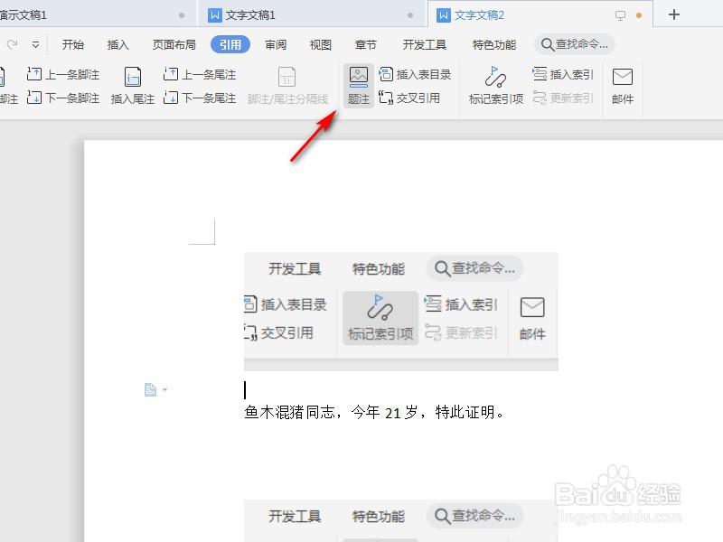 WPS文字如何插入题注
