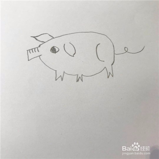 小猪的简笔画画法