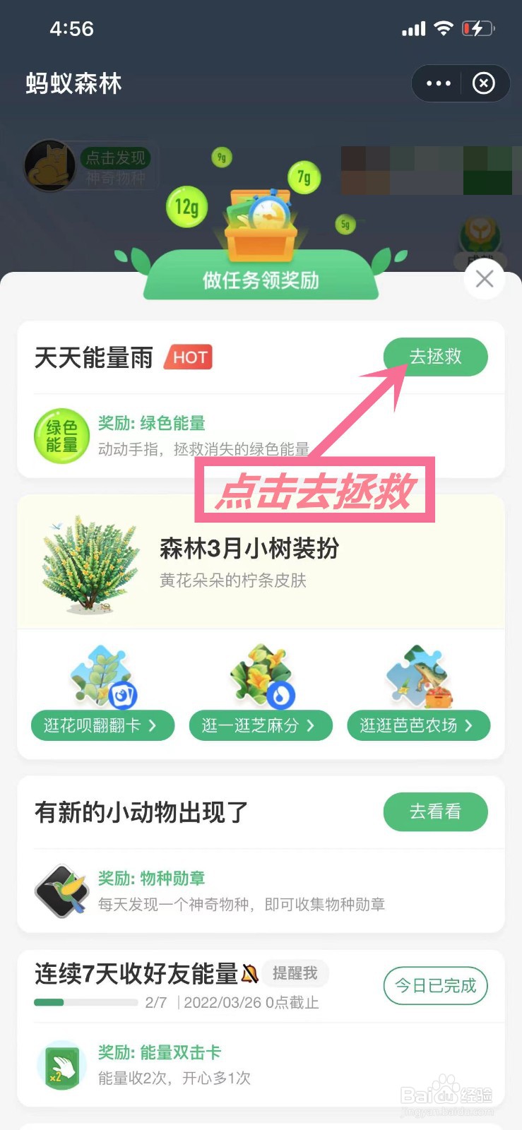 支付宝蚂蚁森林怎么获得更多能量