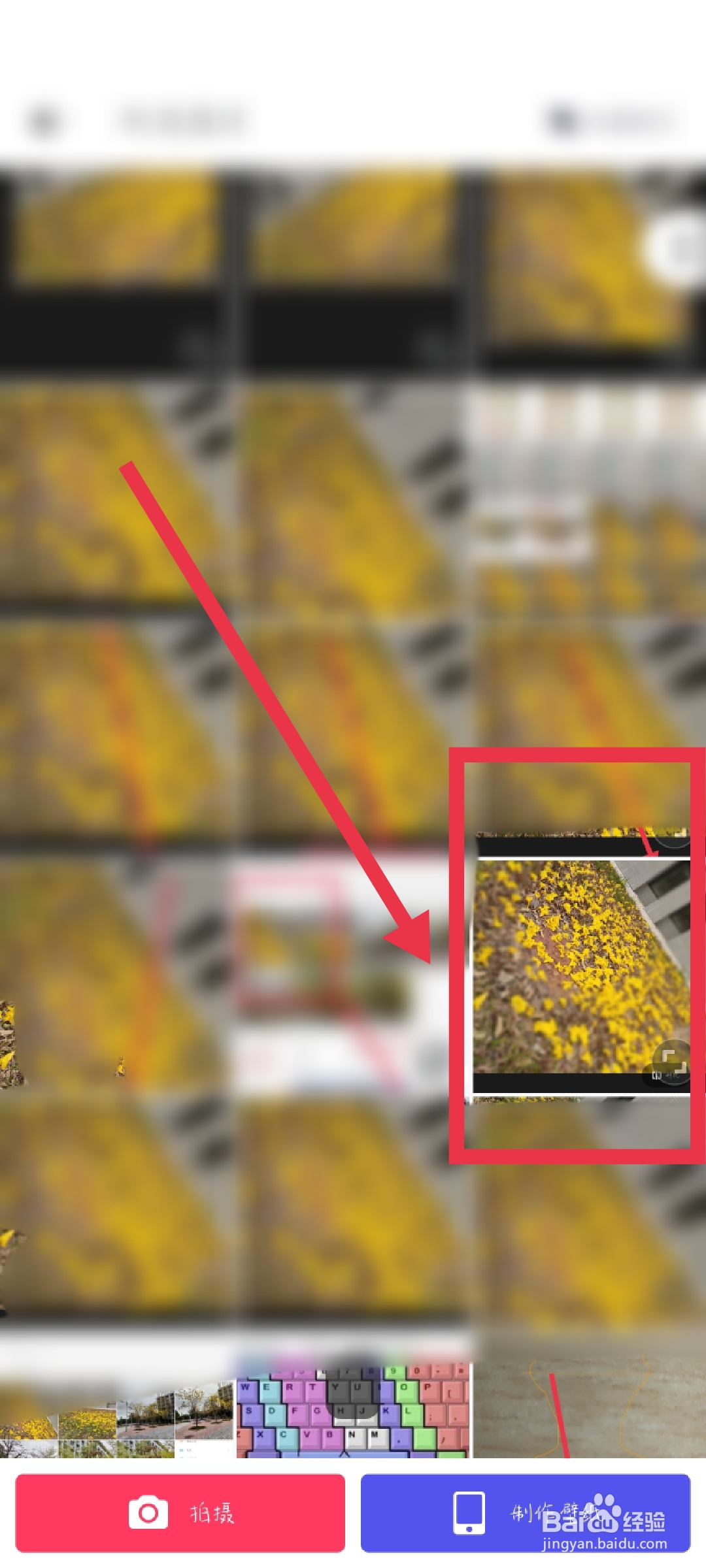 照片背景模糊的效果怎么调