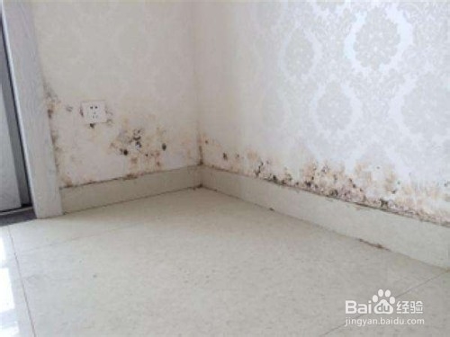 房间墙壁发霉怎么处理