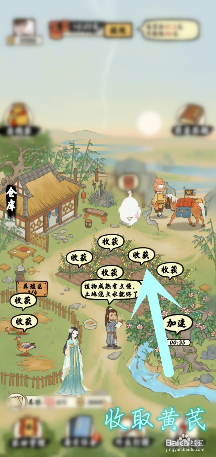 南山小院游戏怎么领取稀有黄芪