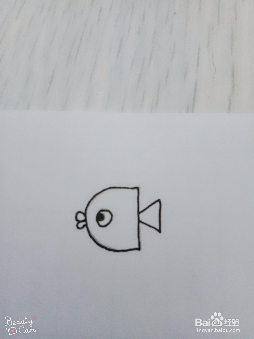 鱼的多种简单画法