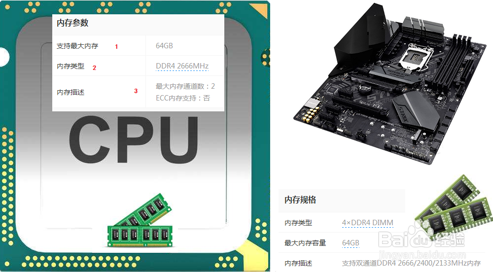 台式机怎么选内存