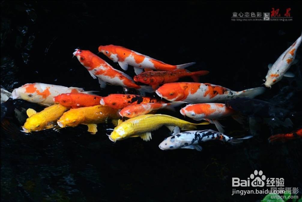 相机的认识和使用