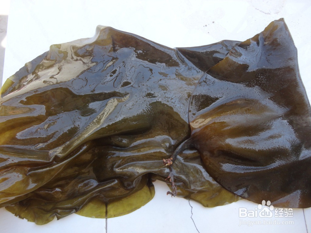 乳腺增生吃什么东西好