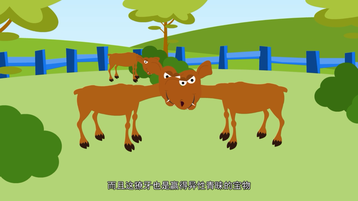 吸血鬼鹿的獠牙是用来吸血的吗