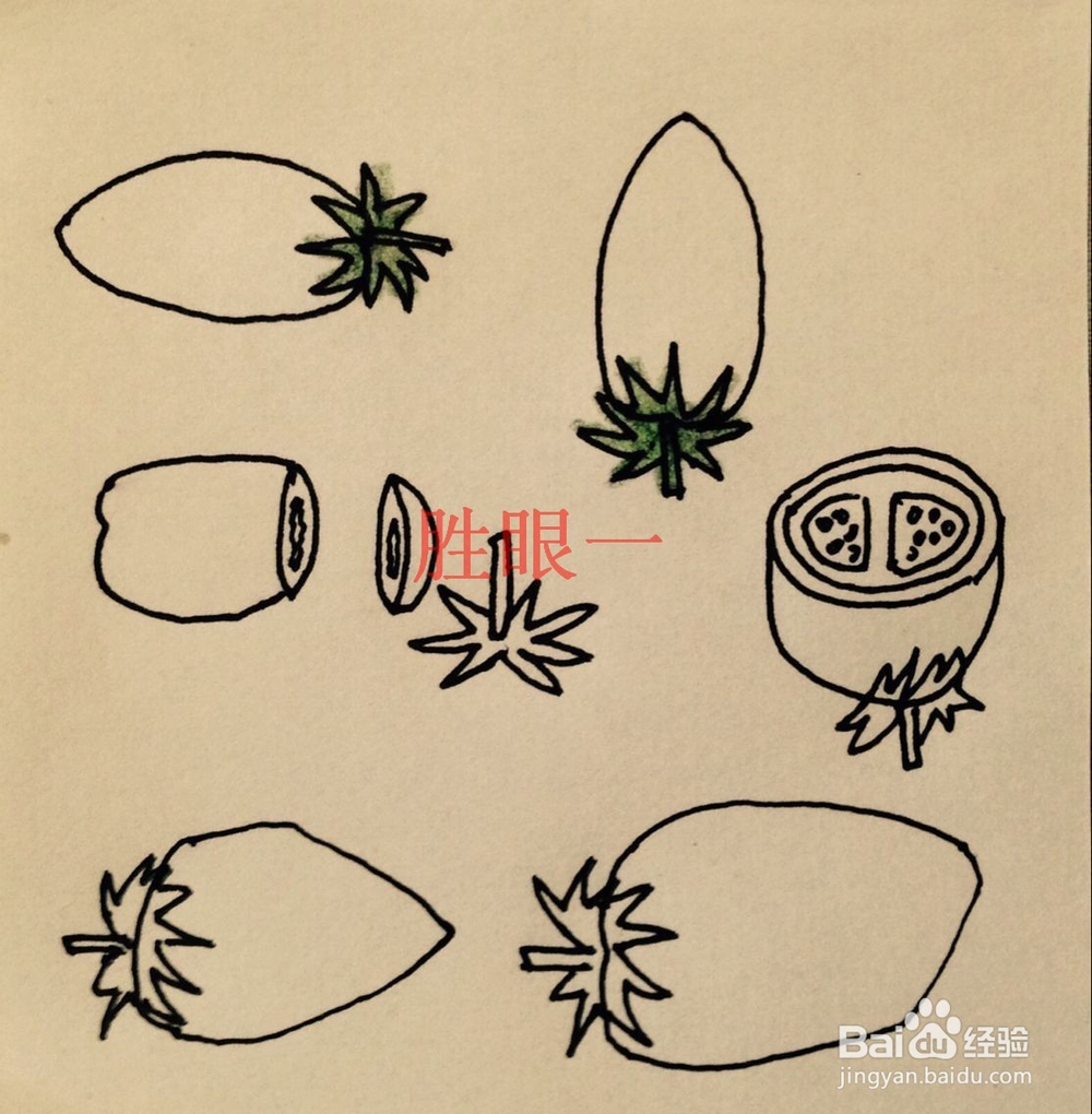 怎样画切开的小西红柿呢?