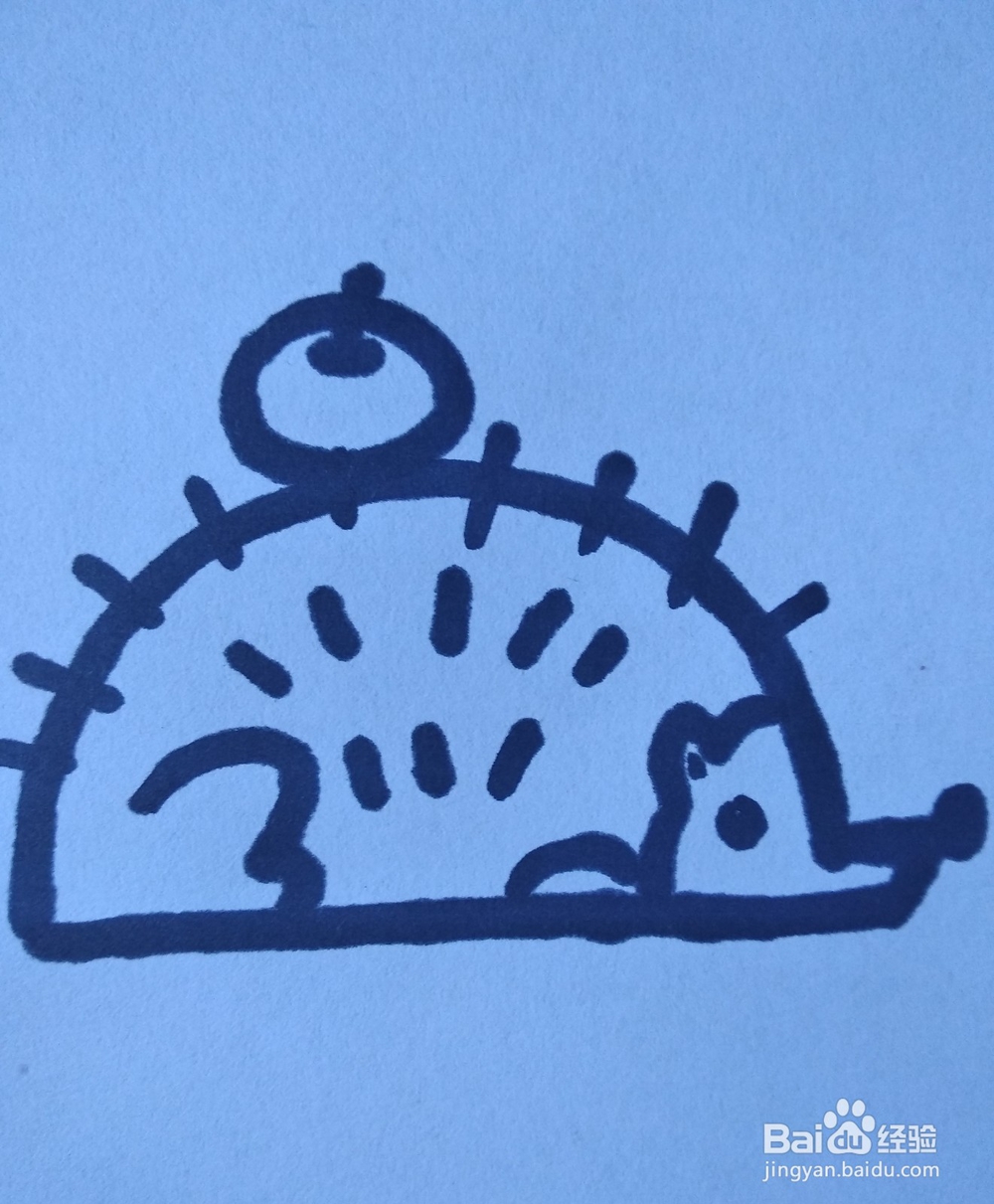 小刺猬的简笔画怎么画