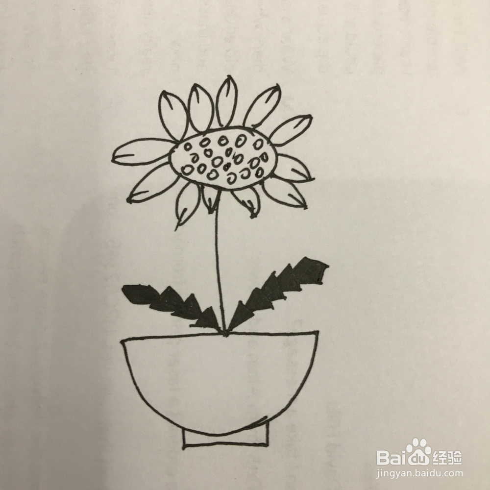 如何画好小清新蒲公英