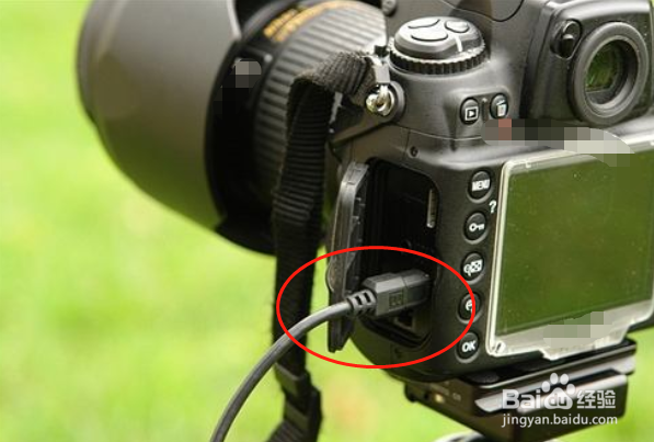 如何在电脑上查看尼康d80拍摄的照片