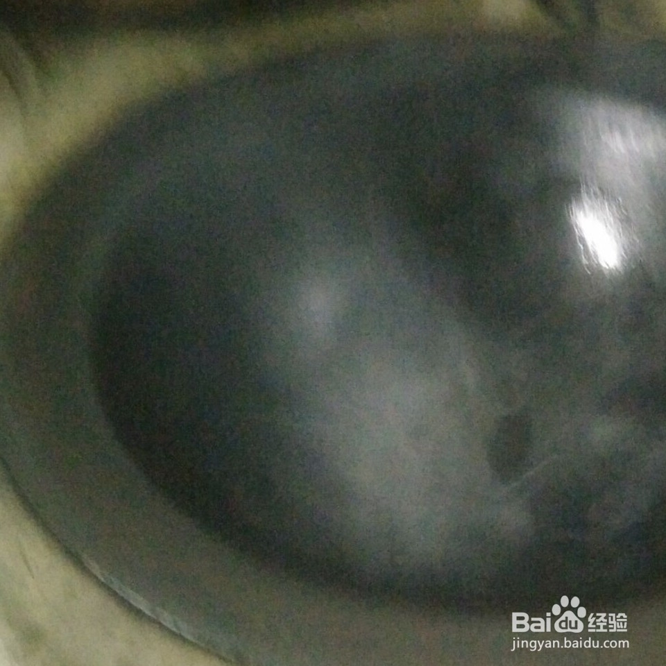 怎么做家常白菜?