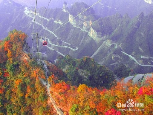 沈阳到张家界旅游攻略