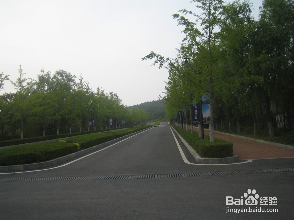 怎样告诉孩子安全过马路--26