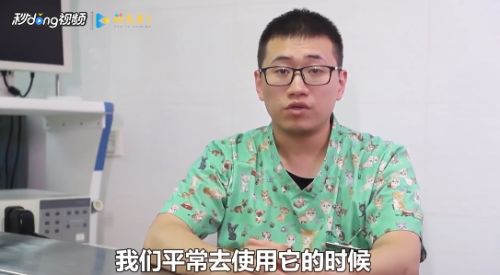 猫草和猫薄荷有什么区别 百度经验