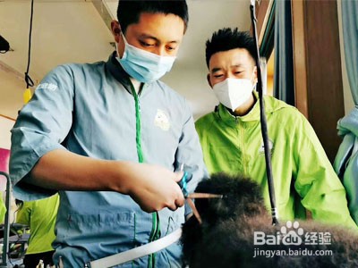 宠物店怎么营业才能更赚钱