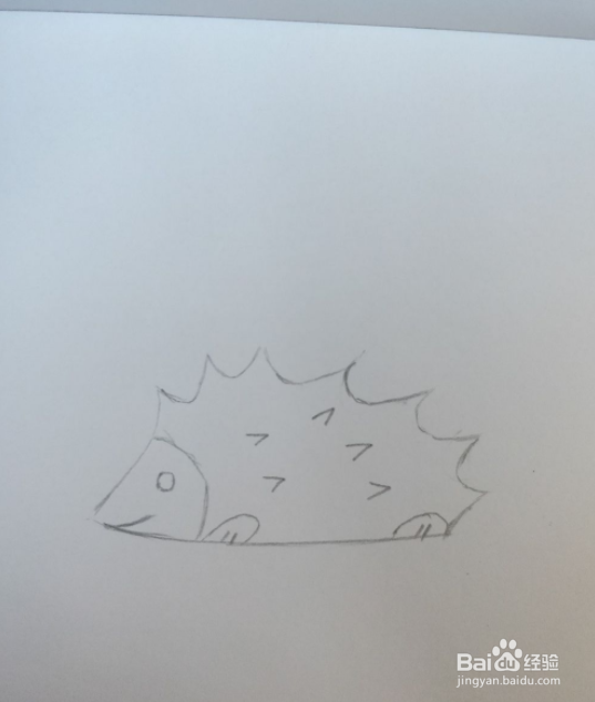 简笔画画刺猬